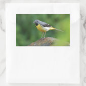 Sticker Rectangulaire Gray Wagtail - oiseau (Sac)