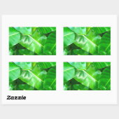 Sticker Rectangulaire Green feuille Palm Leaf feuillage tropical jungle (Feuille)