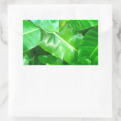 Sticker Rectangulaire Green feuille Palm Leaf feuillage tropical jungle (Sac)