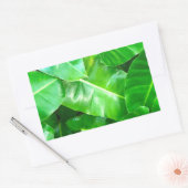Sticker Rectangulaire Green feuille Palm Leaf feuillage tropical jungle (Enveloppe)