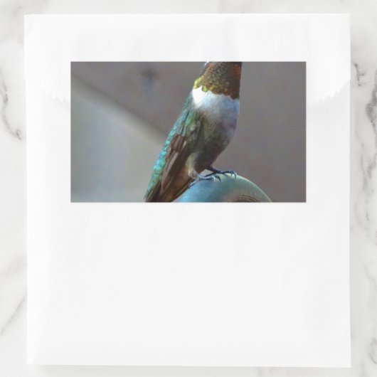 Sticker Rectangulaire Green ruby little hummingbird (Sac)