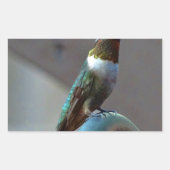 Sticker Rectangulaire Green ruby little hummingbird (Devant)