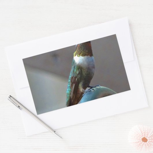 Sticker Rectangulaire Green ruby little hummingbird (Enveloppe)