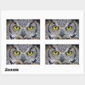 Sticker Rectangulaire grened owl (Feuille)