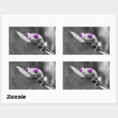 Sticker Rectangulaire Grenouille aux yeux violets (Feuille)