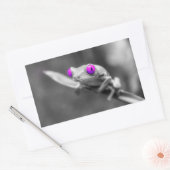 Sticker Rectangulaire Grenouille aux yeux violets (Enveloppe)