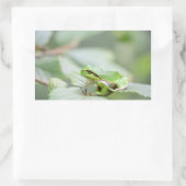 Sticker Rectangulaire Grenouille d'arbre européenne dans l'autocollant (Sac)