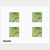 Sticker Rectangulaire grenouille verte (Feuille)