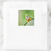 Sticker Rectangulaire grenouille verte (Sac)