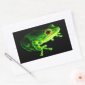 Sticker Rectangulaire Grenouille verte (Enveloppe)