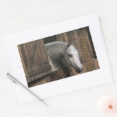 Sticker Rectangulaire Grey Horse (Enveloppe)