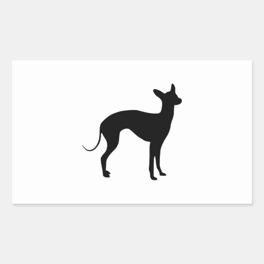 Sticker Rectangulaire Greyhound italien (Devant)
