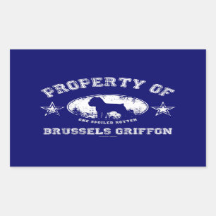 Sticker Rectangulaire Griffon de Bruxelles