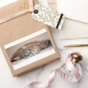 Sticker Rectangulaire Gris, Tan, chat aux cheveux longs blanc par