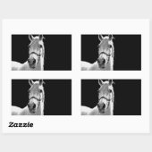 Sticker Rectangulaire Gros plan Cheval blanc noir en nuit (Feuille)
