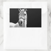 Sticker Rectangulaire Gros plan Cheval blanc noir en nuit (Sac)