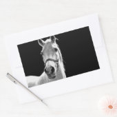 Sticker Rectangulaire Gros plan Cheval blanc noir en nuit (Enveloppe)