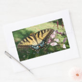 Sticker Rectangulaire Gros plan de Tiger Swallowtail à côté de Cleome Re (Enveloppe)