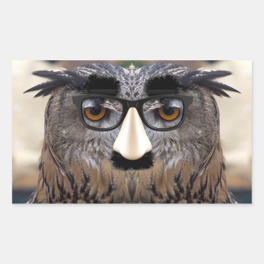 Sticker Rectangulaire Groucho Marx Eagle Owl (Devant)