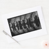 Sticker Rectangulaire Group of Plains Zebra Drink Together at Night (Enveloppe)