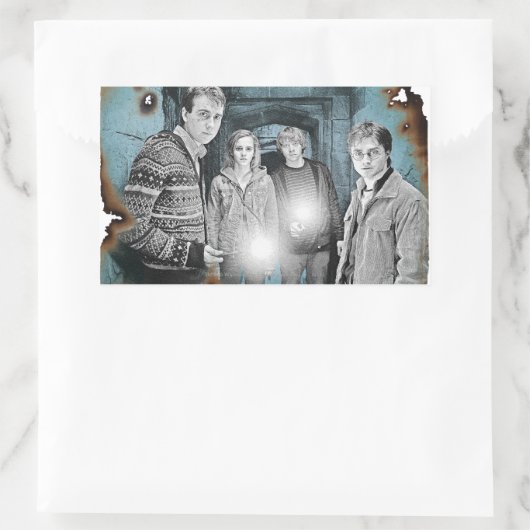 Sticker Rectangulaire Groupe 1 (Sac)