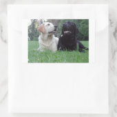 Sticker Rectangulaire groupe d'extraction du labrador (Sac)