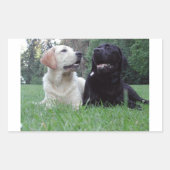 Sticker Rectangulaire groupe d'extraction du labrador (Devant)