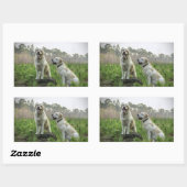 Sticker Rectangulaire Groupe Labrador Jaune (Feuille)