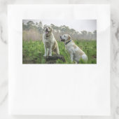 Sticker Rectangulaire Groupe Labrador Jaune (Sac)