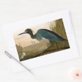 Sticker Rectangulaire Grue bleue Héron Impression Audubon Art côtier (Enveloppe)