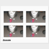 Sticker Rectangulaire Grumpy Fat Cat n'est pas amusé (Feuille)