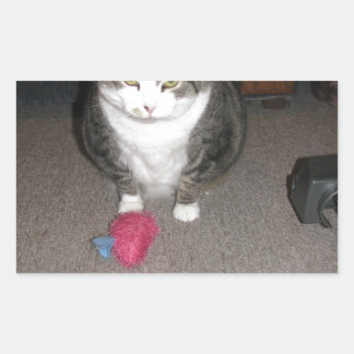 Sticker Rectangulaire Grumpy Fat Cat n'est pas amusé