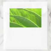 Sticker Rectangulaire Grünes Blatt, hübsche Blattrippen (Sac)