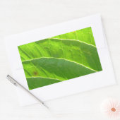 Sticker Rectangulaire Grünes Blatt, hübsche Blattrippen (Enveloppe)