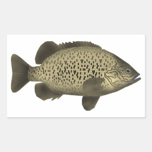 Sticker Rectangulaire Grunter le charbon