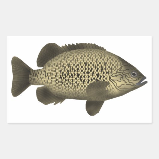 Sticker Rectangulaire Grunter le charbon (Devant)