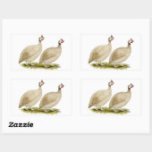 Sticker Rectangulaire Guineas Buff Dundotte Fowl (Feuille)