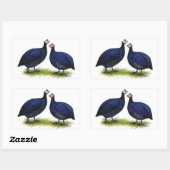 Sticker Rectangulaire Guineas Royal Purple Pair (Feuille)