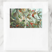 Sticker Rectangulaire Haeckel (Sac)