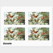 Sticker Rectangulaire Haeckel Hummingbirds (Feuille)
