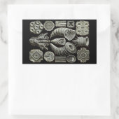 Sticker Rectangulaire Haeckel Négatif (Sac)