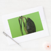 Sticker Rectangulaire Hakuna Matata Kenya Maasai.JPG (Enveloppe)