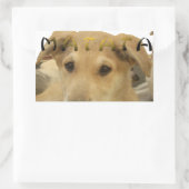 Sticker Rectangulaire "Hakuna Matata Pup" - Insouciant Amour des chiots (Sac)