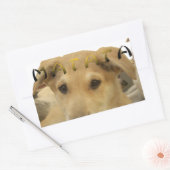 Sticker Rectangulaire "Hakuna Matata Pup" - Insouciant Amour des chiots (Enveloppe)