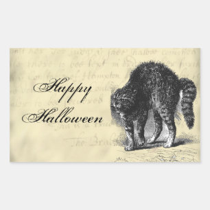 Sticker Rectangulaire Halloween de chat pétrifié