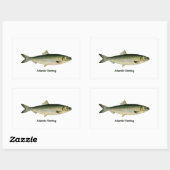 Sticker Rectangulaire Hareng de l'Atlantique (Feuille)