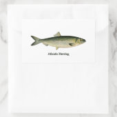 Sticker Rectangulaire Hareng de l'Atlantique (Sac)