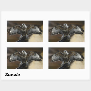 Sticker Rectangulaire Hawk avec des ailes dehors Chouette d'extérieur et