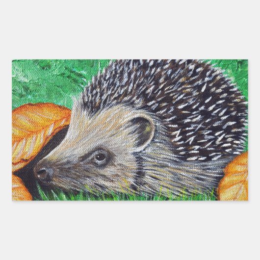 Sticker Rectangulaire Hedgehog (Devant)
