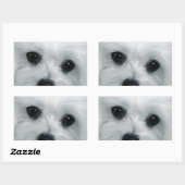 Sticker Rectangulaire Hermes le Maltais (Feuille)